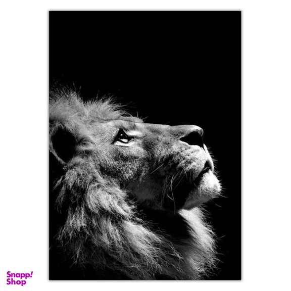 تابلو شاسی ونسونی طرح Disappointed Lion سایز 30 × 40 سانتی متر