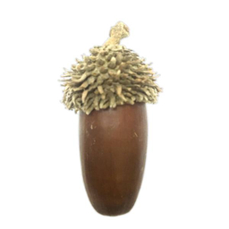 دکوری مدل بلوط بسته 6 عددی