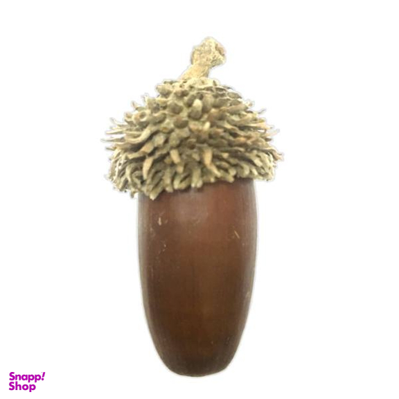 دکوری مدل بلوط بسته 6 عددی