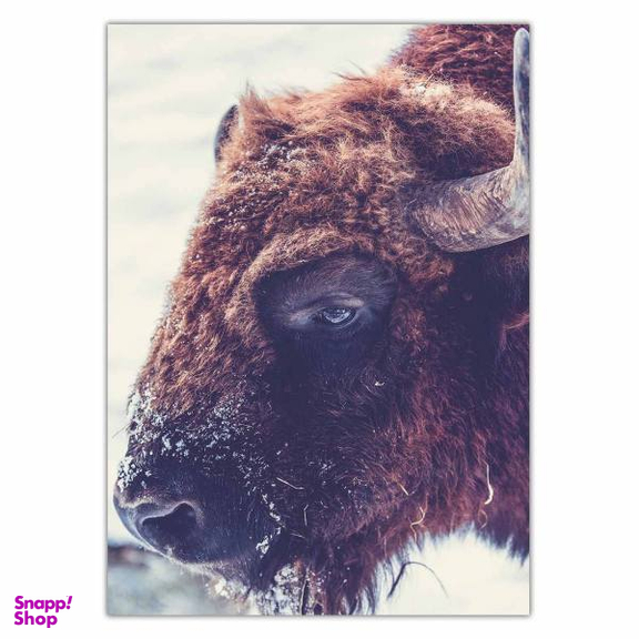 تابلو شاسی ونسونی طرح Buffalo سایز 50 × 70 سانتی متر