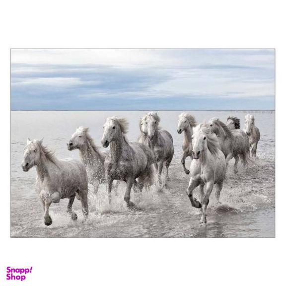 تابلو شاسی ونسونی طرح Horses At The Sea سایز 30 × 40 سانتی متر