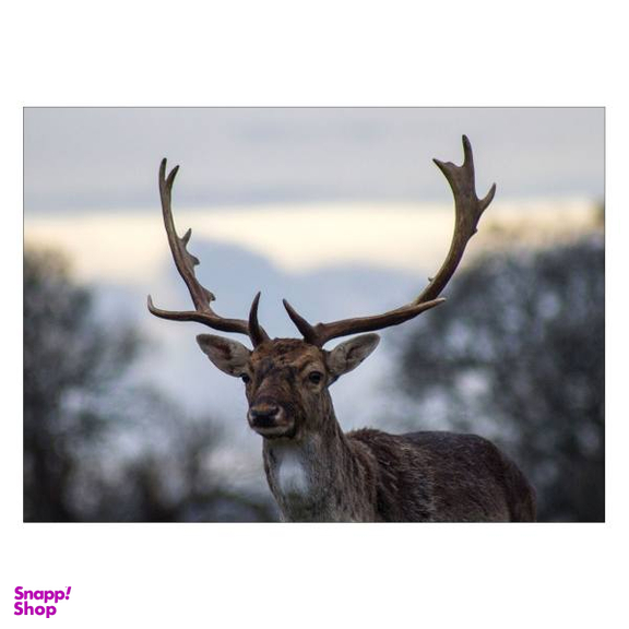 تابلو شاسی ونسونی طرح Old Deer سایز 30x40 سانتی متر