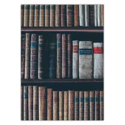 تابلو شاسی ونسونی طرح Darcys Library سایز 50x70 سانتی متر