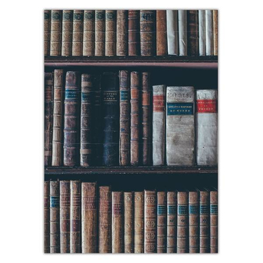 تابلو شاسی ونسونی طرح Darcys Library سایز 50x70 سانتی متر