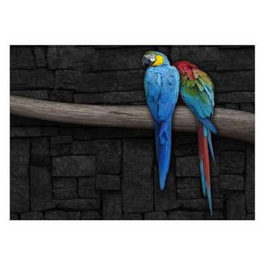 تابلو شاسی ونسونی طرح Canaries In Love سایز 50x70 سانتی متر