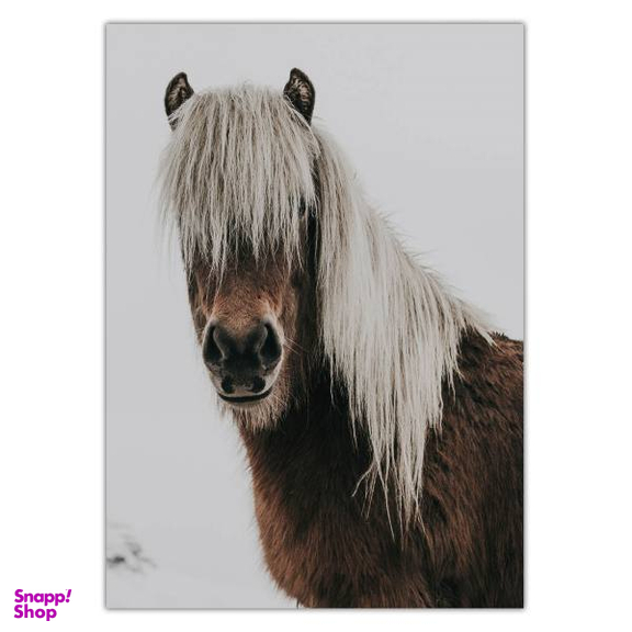 تابلو شاسی ونسونی طرح Hairy Horse سایز 50x70 سانتی متر
