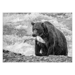 تابلو شاسی ونسونی طرح Bear The Hunter سایز 30x40 سانتی متر