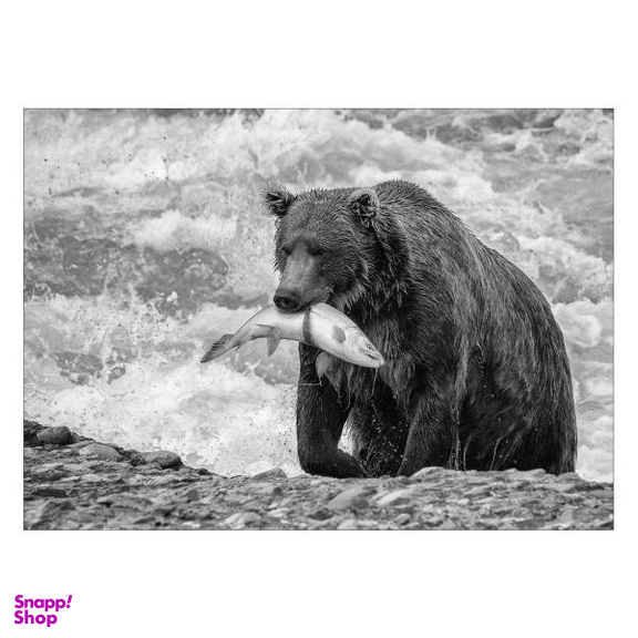 تابلو شاسی ونسونی طرح Bear The Hunter سایز 30x40 سانتی متر