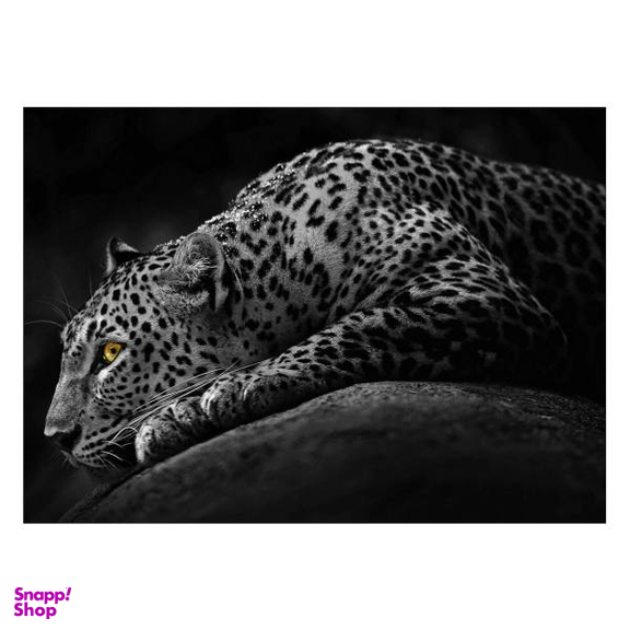 تابلو شاسی ونسونی طرح Dark Leopard سایز 50x70 سانتی متر