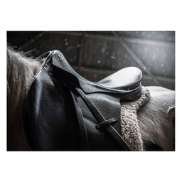 تابلو شاسی ونسونی طرح Horse Saddle سایز 50x70 سانتی متر