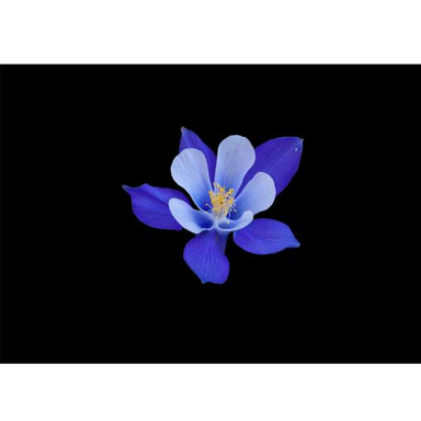 تابلو شاسی سهند طرح LS 268