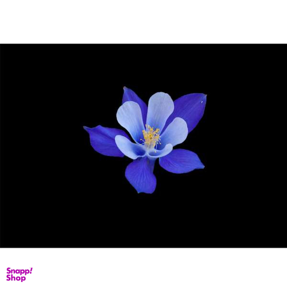 تابلو شاسی سهند طرح LS 268