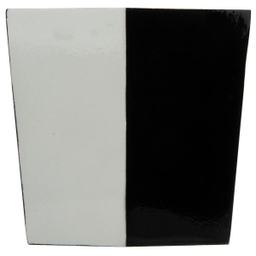 روبالشی رنس مدل P1-20087 سایز 50x70