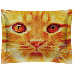 روبالشی رنس مدل P1-20049 سایز 50x70