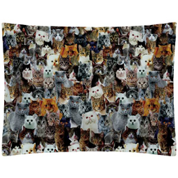 روبالشی رنس مدل P1-20052 سایز 50x70