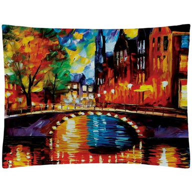 روبالشی رنس مدل P1-20033 سایز 50x70