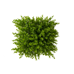 دیوار سبز مصنوعی مدل برجسته سایز 25×25 سانتی متر