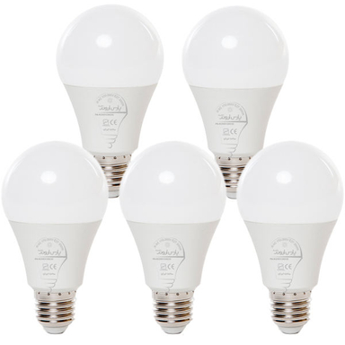لامپ 20 وات پارس اروند الکتریک کد PA-AB20W پایه E27 بسته 5 عددی