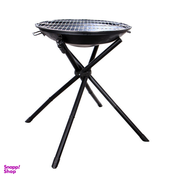 باربکیو مدل پارمیس