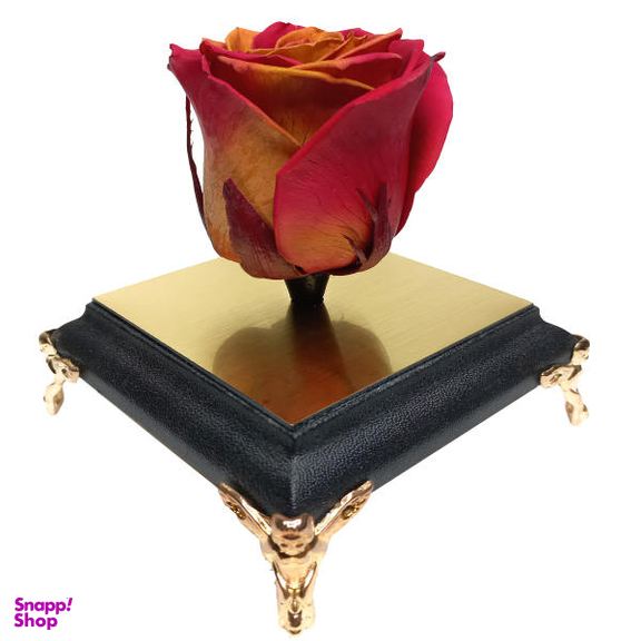 گل رز جاودان گلد رز مدل CLR04