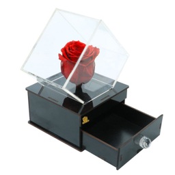 گل رز جاودان صدراباکس کد jav004