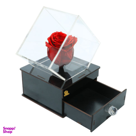 گل رز جاودان صدراباکس کد jav004