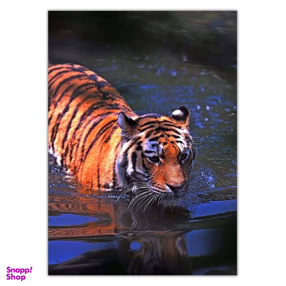 تابلو شاسی ونسونی طرح Swimming Tiger سایز 30x40 سانتی متر