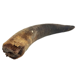 تشویقی سگ هاپومیل مدل Buffalo Horn کد 22 وزن 50 گرم