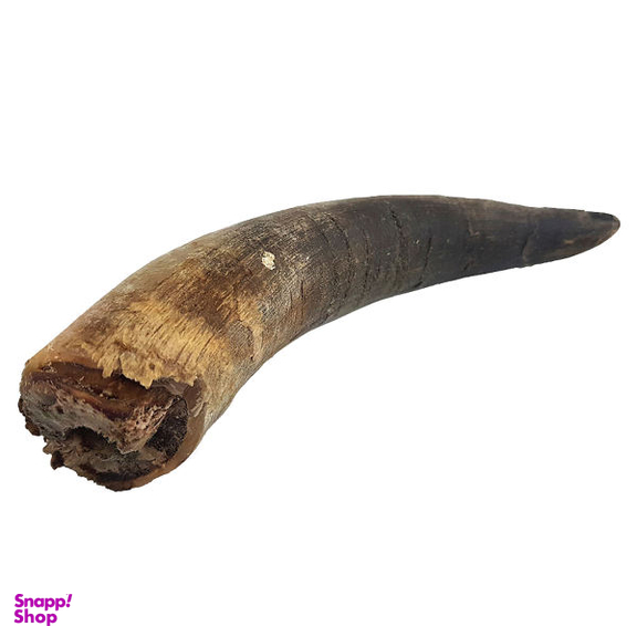 تشویقی سگ هاپومیل مدل Buffalo Horn کد 22 وزن 50 گرم
