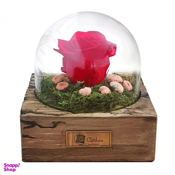 رز جاودان کلاسیک