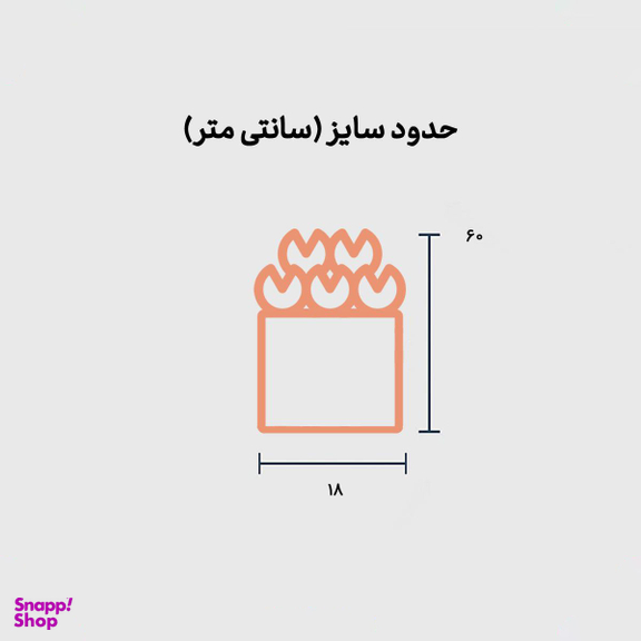 باکس گل رز قرمز فلزی 10 شاخه