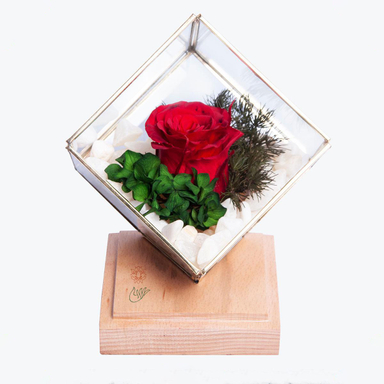 آبگینه مکعب گل رز جاودان