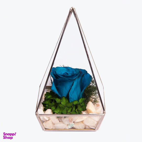 آبگینه هرم تک گل رز جاودان