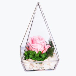 آبگینه هرم تک گل رز جاودان