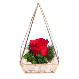 آبگینه هرم تک گل رز جاودان