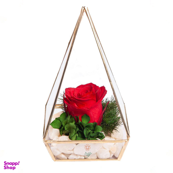 آبگینه هرم تک گل رز جاودان