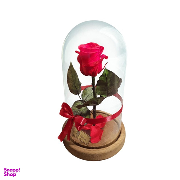 رز جاودان دیو و دلبر