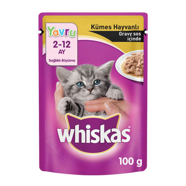 غذای بچه گربه ویسکاس مدل Junior-Poultry وزن 100 گرم