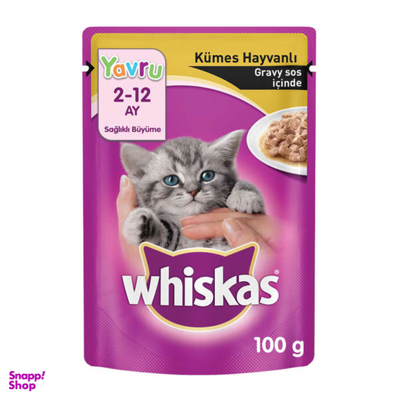 غذای بچه گربه ویسکاس مدل Junior-Poultry وزن 100 گرم
