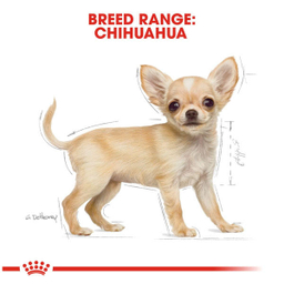 غذای خشک رویال کنین مدل Chihuahua Adult وزن 1.5 کیلوگرم