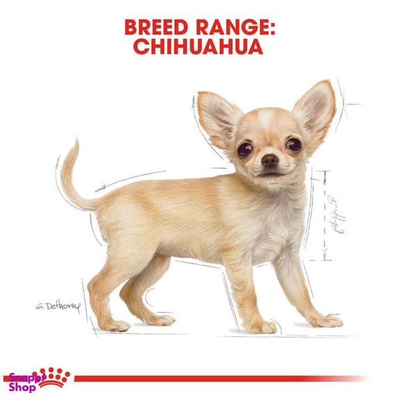 غذای خشک رویال کنین مدل Chihuahua Adult وزن 1.5 کیلوگرم