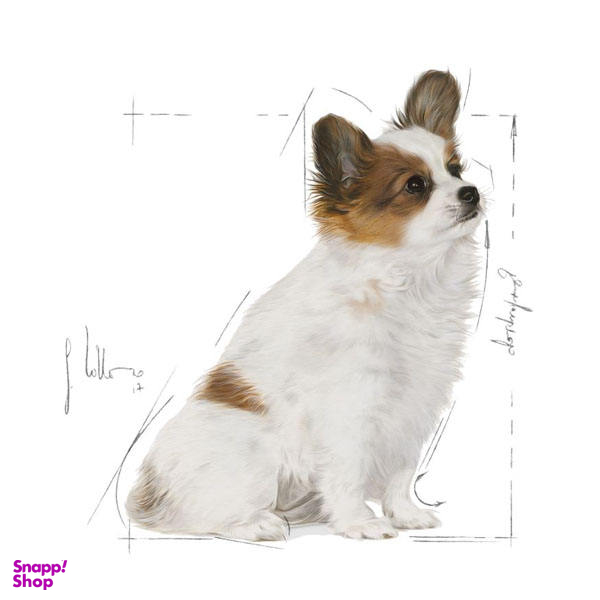 غذای خشک سگ رویال کنین مدل X-Small Puppy وزن 1.5 کیلوگرم