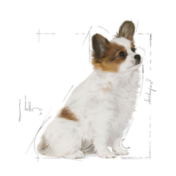 غذای خشک سگ رویال کنین مدل X-Small Puppy وزن 1.5 کیلوگرم
