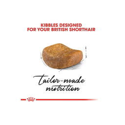 غذای خشک گربه رویال کنین مدل British Shorthair وزن 2 کیلوگرم