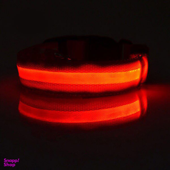 قلاده سگ و گربه مدل Lr-Led Flash