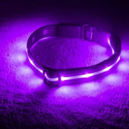 قلاده سگ و گربه مدل Lp-Led Flash