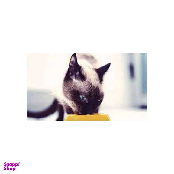غذای خشک گربه رویال کنین مدل Hypoallergenic وزن 2.5 کیلوگرم