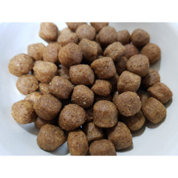 غذای خشک سگ وودو مدل Large Adult وزن 10 کیلوگرم