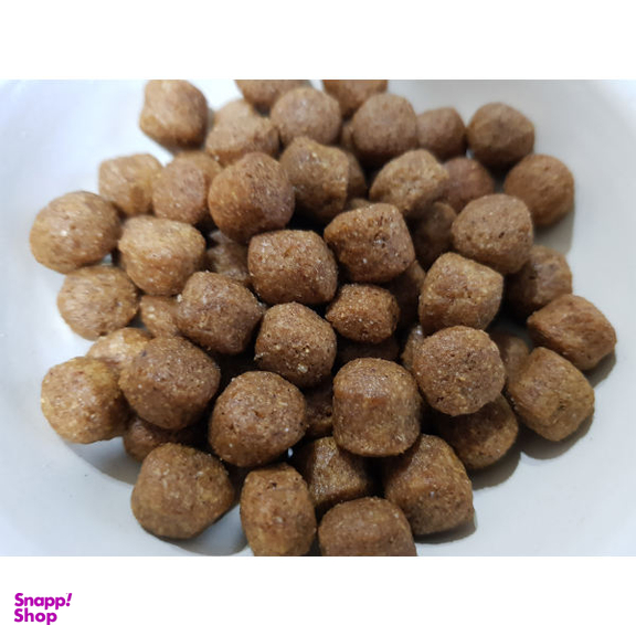 غذای خشک سگ وودو مدل Large Adult وزن 10 کیلوگرم