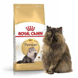 غذای خشک گربه پرشین رویال کنین مدل Persian Adult وزن 2 کیلوگرم